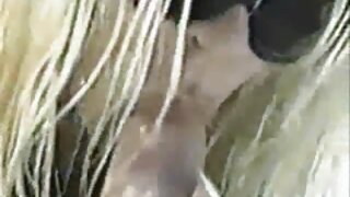 ເມຍ swinger brunette pretty ດູດ cock ສີດໍາຈົນກ່ວາ cums ກືນ,!holy fuck!